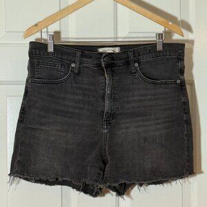High Waist Shorts